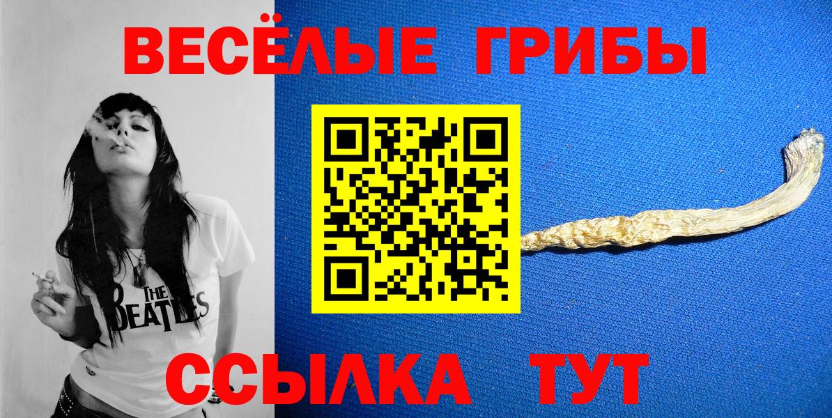 Галлюциногенные грибы GOLDEN TEACHER  Галлюциногенные грибы Psilocybine cubensis  Волжск  Вход с VPN 