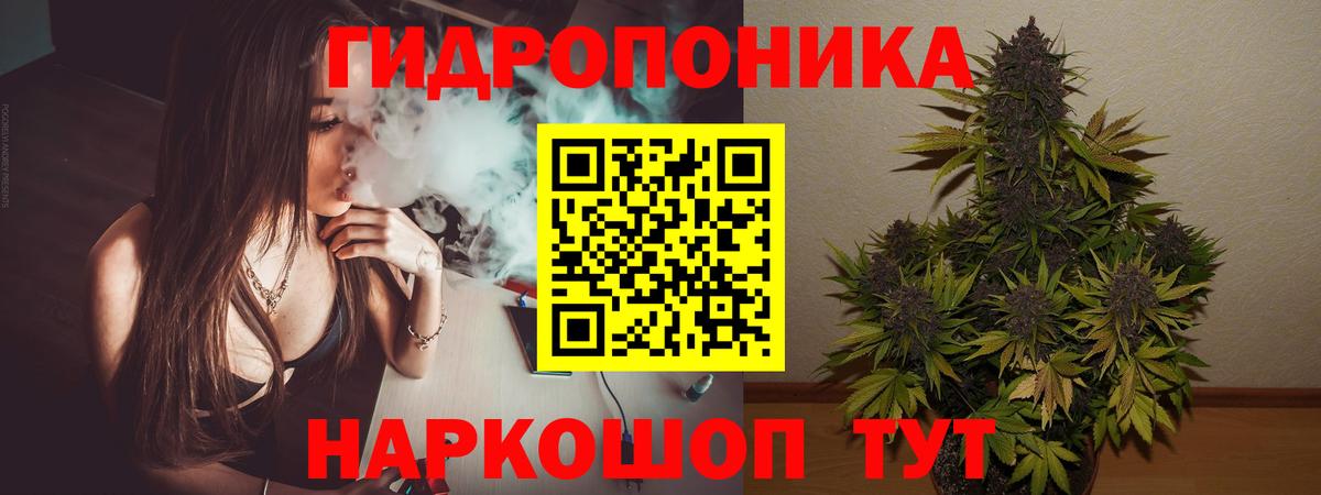 Бошки марихуана SATIVA & INDICA  МАРИХУАНА гибрид  Каннабис планчик  Вход с VPN  Шишки марихуана AK-47  Волжск 